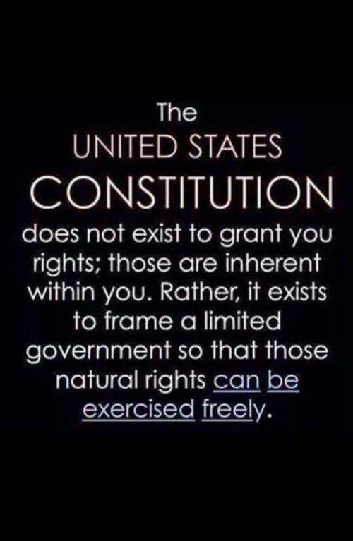 Cold Dead Hands - The UNITED STATES CONSTITUTION, not the... | Facebook