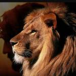 Paula Borchardt Profile Picture