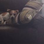 Martin Brotherton Profile Picture