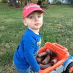 Greg Giordani Profile Picture