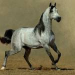 ArthurM Profile Picture