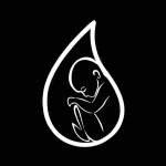 Connie Lesondak Profile Picture