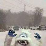 Jon Copeland Profile Picture