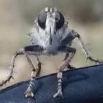 Isitbs Profile Picture