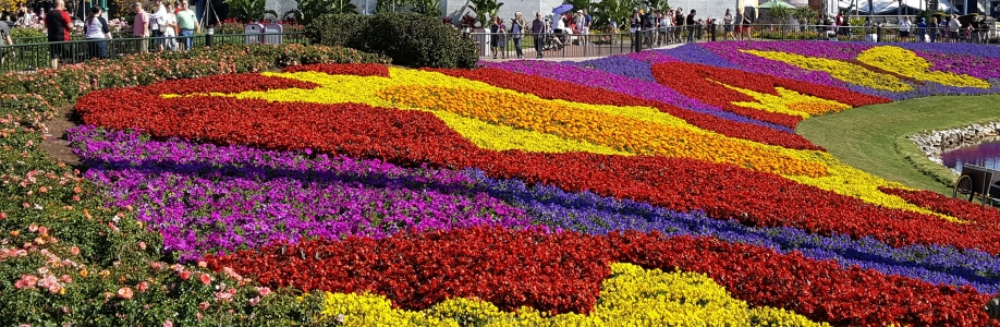 Jennifer Patrick Cover Image