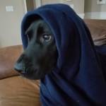 Jeffrey Dolph Profile Picture