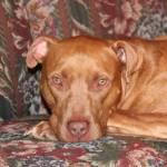 Cody Profile Picture