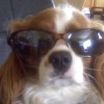 Nora Albrecht Profile Picture