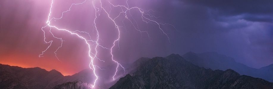 Ken Harrison Cover Image