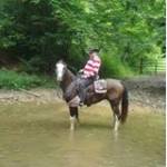 Everly E. Spurrier Jr Profile Picture