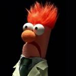 Timothy Hirota Profile Picture