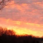 Nikki Vedilago Profile Picture