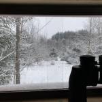 Craig Mincy Profile Picture