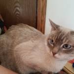 Angela Spencer Profile Picture