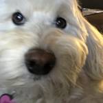 Kathleen Jesiel Profile Picture