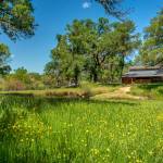 Michael Lynch Profile Picture