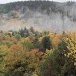 MrPhil Profile Picture