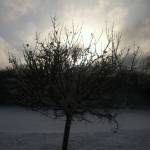 Todd Foy Profile Picture