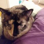 Zoey52 Profile Picture