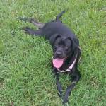 Ashley Marie Profile Picture