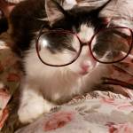 Colleen Henderson Profile Picture