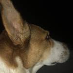 Andrea Worthington Profile Picture