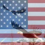 NorthStarPatriot Profile Picture
