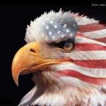 JOHNSPIVEY profile picture