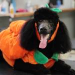 Kathleen Jerabek Profile Picture