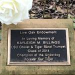 David    A Lasseigne Profile Picture