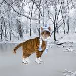 Sandy Songer Profile Picture