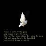 DebHollister Profile Picture