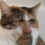 TruthSerum Profile Picture