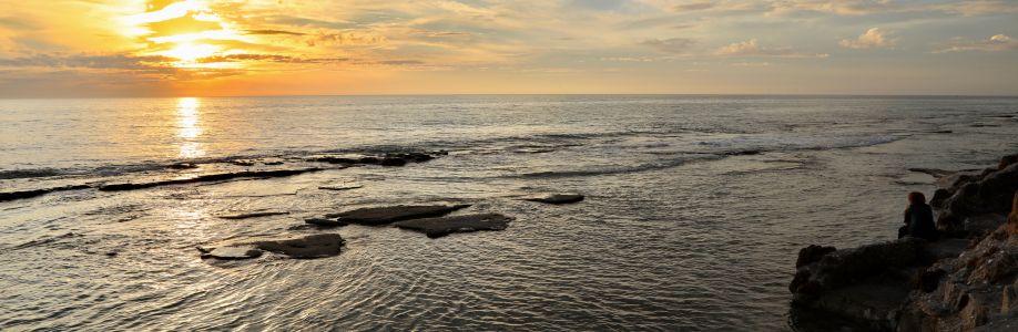 Ken Mayo Cover Image