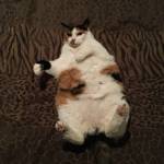 Suzanne Frick Profile Picture