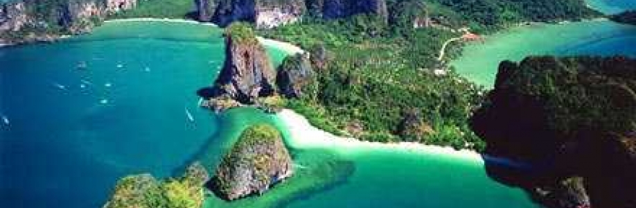 Daniel Docto Cover Image