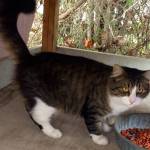 Redryder Profile Picture