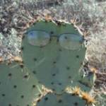 David Carpenter Profile Picture