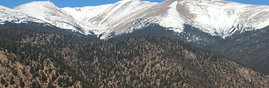 Randall Owens Cover Image