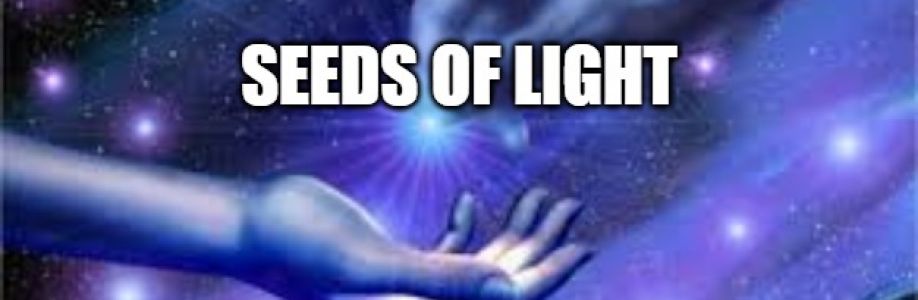 SEEDS OF LIGHT Cover Image