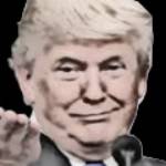 Re-elect Trump 2020/2024 Profile Picture