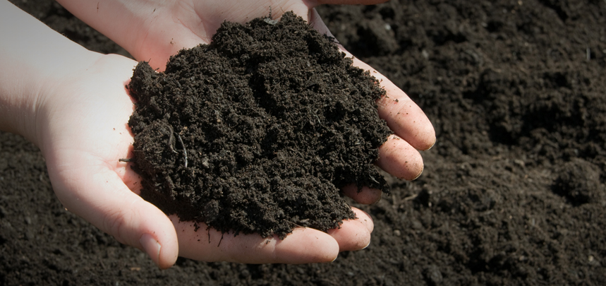 What Is Topsoil? | Online Soil