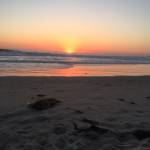 Wayne Ferrante Profile Picture