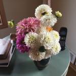 Julia Falleen Profile Picture