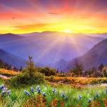 DawnH Profile Picture