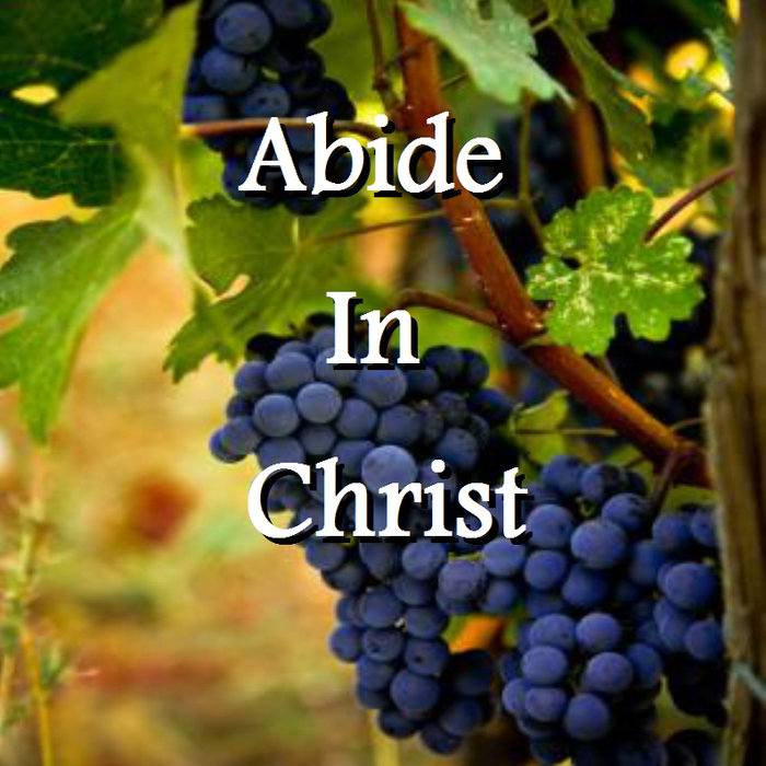 Abide In Christ | Grandma's Farm