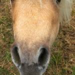 KatWilliams Profile Picture