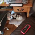 Terry Hurd Profile Picture