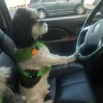 Debbie Jo Humphrey Profile Picture