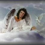 Phyllis Warren Profile Picture